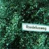 Hans-Joachim Roedelius - Roedeliusweg (2000)