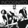 Incognito - Tales From The Beach (2008)