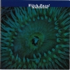 Witch Hazel Sound - Landlocked (1995)