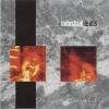 Industrial Heads - The Fear And The Anguish At The End (1995)