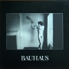 Bauhaus - In The Flat Field (1980)