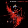 The Waterboys - Karma To Burn (2005)