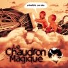 Le Chaudron Magique - Première Portée (2007)