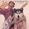 Henry Kaiser - The Five Heavenly Truths (1993)