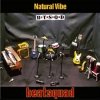 Beatsquad - Natural Vibe (2005)