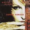 David Basho - Esprit Nomade (2002)