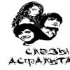 Слёзы Асфальта (www.tears.ru) - Слёзы асфальта 