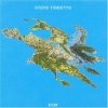 Steve Tibbetts - Big Map Idea (1989)