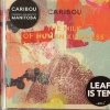 Caribou - The Milk Of Human Kindness (2005)