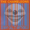 The Chameleons - Why Call It Anything (2001)