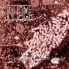 Inhume - Decomposing From Inside (2000)