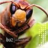 Buz - Shapeshifter (2006)