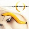 A Perfect Circle - Thirteenth Step (2003)