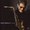 David Sanborn - Timeagain (2003)