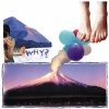 WHY? - Elephant Eyelash (2005)