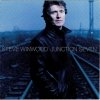 Steve Winwood - Junction Seven (1997)