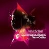 Terry Callier - Hidden Conversations (2009)