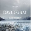 David Gray - Life In Slow Motion (2005)