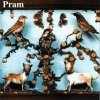 Pram - The Museum Of Imaginary Animals (2000)