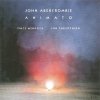 John Abercrombie - Animato (1990)