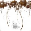 Demune - Crossbreeding And Grafting (2006)