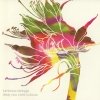 Luminous Orange - Drop You Vivid Colours (2002)