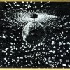 Neil Young - Mirror Ball (1995)