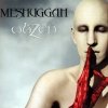 Meshuggah - obZen (2008)