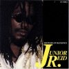 Junior Reid - Showers Of Blessings (1995)