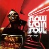 Slow Train Soul - Illegal Cargo (2004)