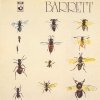 Syd Barrett - Barrett (1970)