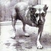 Alice In Chains - Alice In Chains (1995)