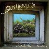 Guillemots - Through The Windowpane (2006)