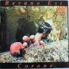 Bevano Est - Corone (1998)