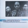 Jean-Paul Bourelly - Brotherzone (1999)