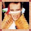 Adam & The Ants - Kings Of The Wild Frontier (Remastered) (2004)