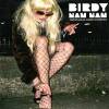 Birdy Nam Nam - Trans Boulogne Express (2007)