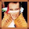 Adam & The Ants - Kings Of The Wild Frontier (2004)