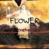 Flower - Concrete Sky (1987-1990) (1994)