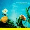 Marina Rosenfeld - theforestthegardenthesea (1999)