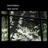 David Tollefson - Near And Far (1999)