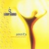 Loop Guru - Amrita (...All These And The Japanese Soup Warriors) (1995)