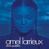 Amel Larrieux - Infinite Possibilities (1999)