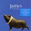 James - Millionaires (1999)