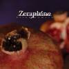 Zeraphine - Blind Camera (2005)