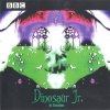 dinosaur jr. - In Session (1999)