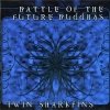 Battle of the Future Buddhas - Twin Sharkfins (1998)